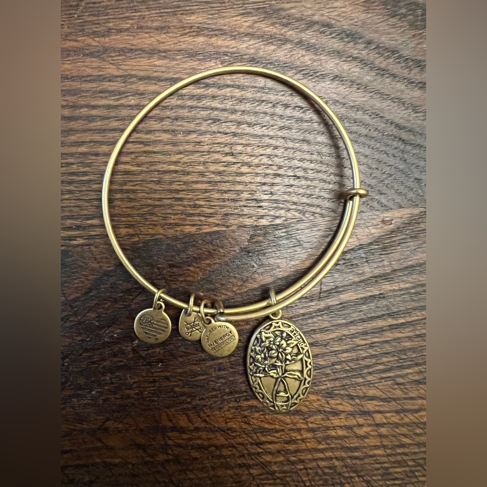 Energy Technology Women’s Bracelet